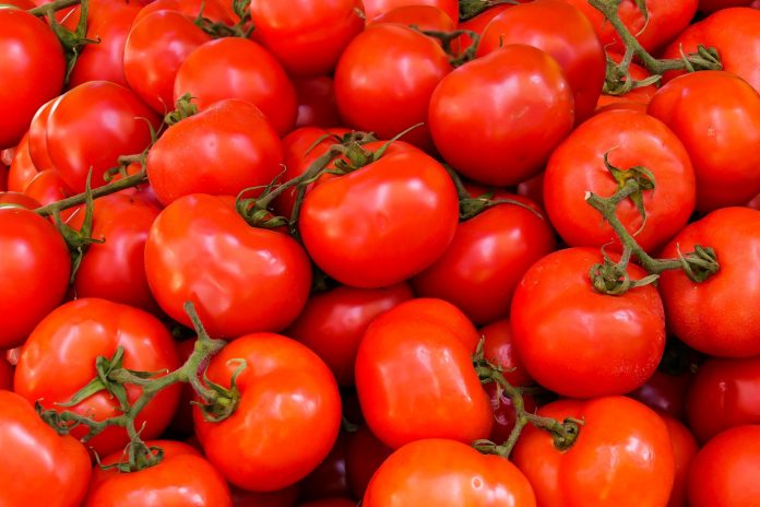 govt. reduces subsidised tomato rates to ₹80/kg